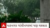 Gandhinagar Rain : પાટનગર ગાંધીનગરના અલગ અલગ વિસ્તારોમાં ધીમીધારે વરસાદ શરુ