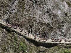 अमरनाथ यात्रा के लिए तैयारियां तेज, CRPF महानिदेशक ने सुरक्षा व्यवस्था, आपदा तैयारियों की समीक्षा की