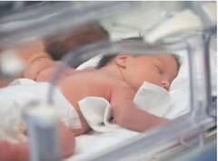 ਕਲਯੁੱਗ ! ਬੇਟੀ ਨੂੰ ਘਰ 'ਚ ਇਕੱਲੀ ਛੱਡ ਕੇ 10 ਦਿਨਾਂ ਦੀਆਂ ਛੁੱਟੀਆਂ ਮਨਾਉਣ ਚਲੀ ਗਈ ਮਾਂ , ਭੁੱਖ-ਪਿਆਸ ਨਾਲ ਤੜਪ ਕੇ ਬੱਚੀ ਨੇ ਤੋੜਿਆ ਦਮ