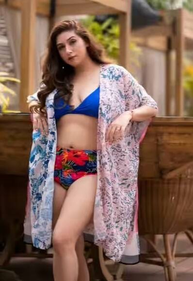 વાહબિઝ દોરાબજીએ પોતે જ ખુલાસો કર્યો હતો કે લગ્ન દરમિયાન તે ઘરેલુ હિંસાનો સામનો કરતી હતી. આ કારણે તેણે આ સંબંધમાંથી બહાર નીકળવાનો નિર્ણય કર્યો હતો.