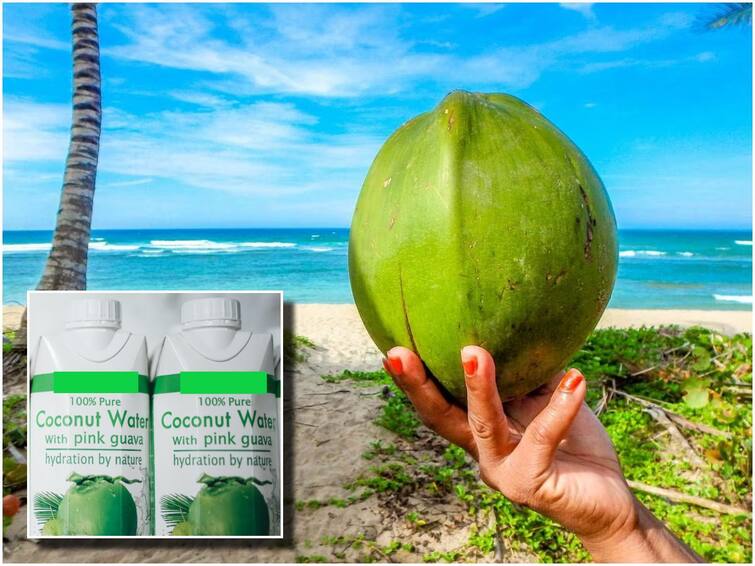 Packed Vs Fresh Coconut Water, Which One Is Healthier Packed Vs Fresh Coconut Water: ప్యాక్డ్ కొబ్బరి నీళ్లు తాగొచ్చా? తాజా కొబ్బరి నీటికి, దానికి తేడా ఏమిటీ?
