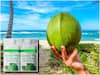 Packed Vs Fresh Coconut Water: ప్యాక్డ్ కొబ్బరి నీళ్లు తాగొచ్చా? తాజా కొబ్బరి నీటికి, దానికి తేడా ఏమిటీ?