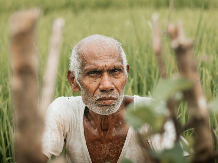 पीएम किसान सम्मान निधि पर बड़ी जानकारी, जून में नहीं इस तारीख को आएगी 14वीं किस्त PM Kisan Samman Nidhi 14th installment will come on this date पीएम किसान सम्मान निधि पर बड़ी जानकारी, जून में नहीं इस तारीख को आएगी 14वीं किस्त