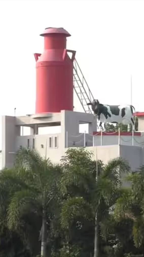 कुणी घरावर ट्रॅक्टर ठेवलाय, तर कोणी कांदा... पाहा भन्नाट घरांचे फोटो..