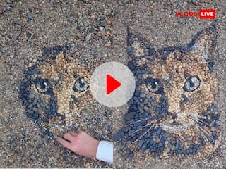 Viral Video: नहीं देखी होगी ऐसी कलाकारी! कंकड़-पत्थर से बनाई बिल्ली की शानदार फोटो, देखिए Viral Video
