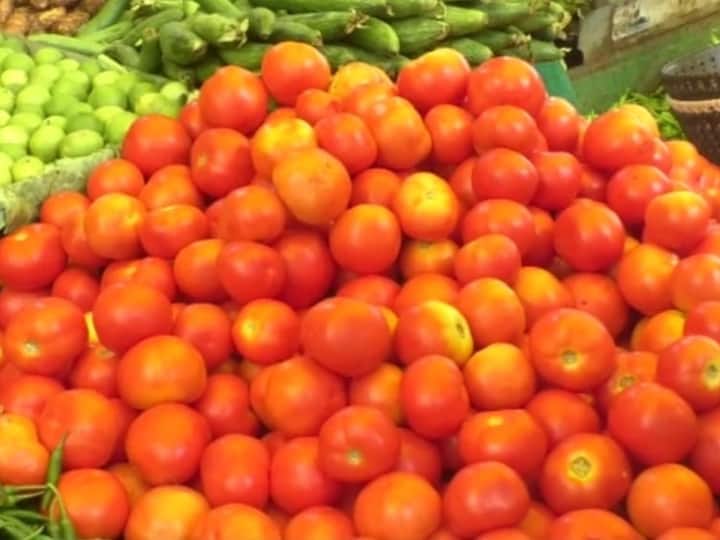 Vegetable Price Hike Tomato Rates increase to 100 rupees per kg in Jabalpur Know Market Rates ANN Vegetable Price Hike: जबलपुर में महंगाई से टमाटर हुआ लाल, कीमत पहुंची 80 से 100 रुपये किलो