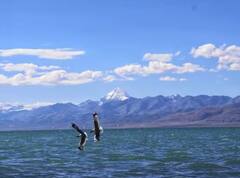 ਕੈਲਾਸ਼ ਮਾਨਸਰੋਵਰ ਜਾਣ ਲਈ ਪਾਸਪੋਰਟ ਦੀ ਲੋੜ ਹੈ? ਸਿਰਫ਼ ਇਹ ਲੋਕ ਹੀ ਕਰ ਸਕਦੇ ਹਨ ਸਫ਼ਰ