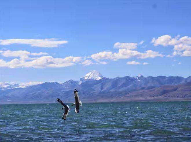 ਕੈਲਾਸ਼ ਮਾਨਸਰੋਵਰ ਦੀ ਅਧਿਕਾਰਤ ਵੈੱਬਸਾਈਟ ਮੁਤਾਬਕ ਭਾਰਤ ਤੋਂ ਸਿਰਫ਼ ਭਾਰਤੀ ਨਾਗਰਿਕ ਹੀ ਯਾਤਰਾ ਕਰ ਸਕਦੇ ਹਨ।