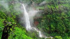 Waterfalls : नयनरम्य... पावसाळ्यात मुंबईजवळील 'या' धबधब्यांना नक्की भेट द्या