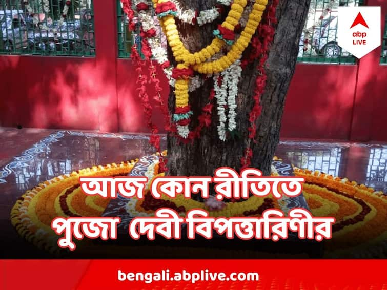 Bibodtarini Puja 2023 Know when to offer puja to Devi Bipattarini 27 June কেটেছে অম্বুবাচী, আজই দেবী বিপত্তারিণী পুজো করার আদর্শ দিন, মেনে চলুন এই নিয়ম