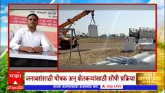 Saat Barachya Batmya : 7/12 : कशी आहे मुरघास बनवण्याची प्रक्रिया? आता बाराही महिने हिरवा चारा