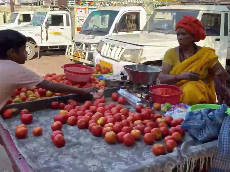 Tomato Price Today in India Know 1 KG Tomato Cost in Your City Delhi Noida UP Mumbai Heavy Rain Leads To Spike In Tomatoes Prices, Crosses Rs 100 Per Kg In Bengaluru