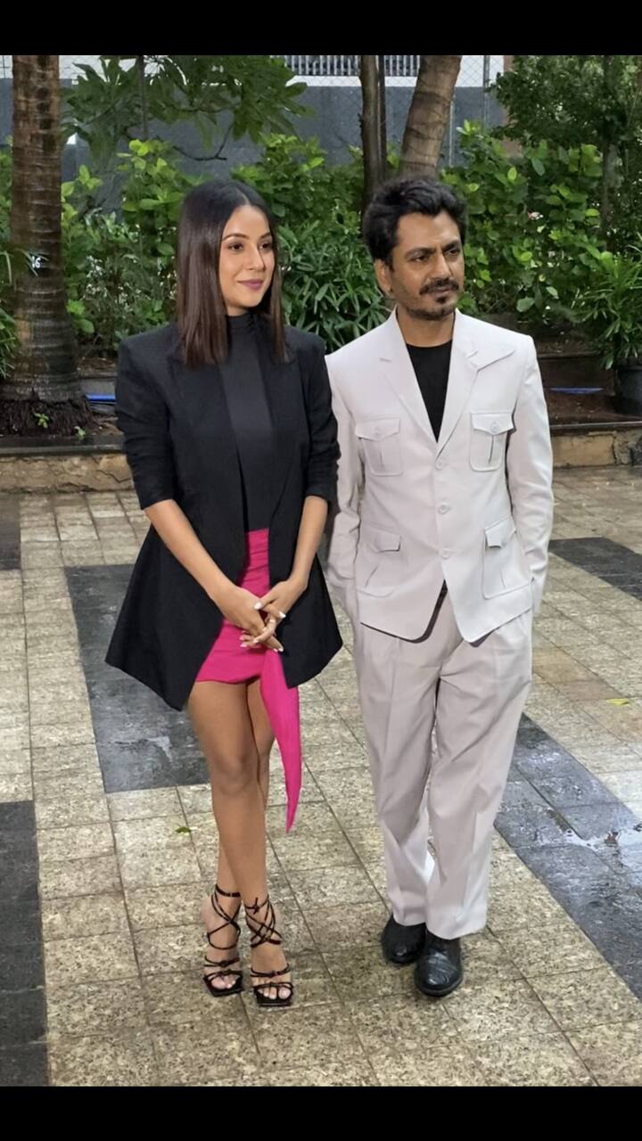 Shehnaaz Gill was last seen in Salman Khan starrer ensemble cast film 'Kisi Ka Bhai Kisi Ki Jaan.'