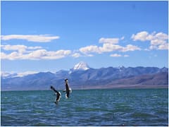 कैलाश मानसरोवर जाने के लिए पासपोर्ट चाहिए? सिर्फ ये लोग ही कर सकते हैं यात्रा