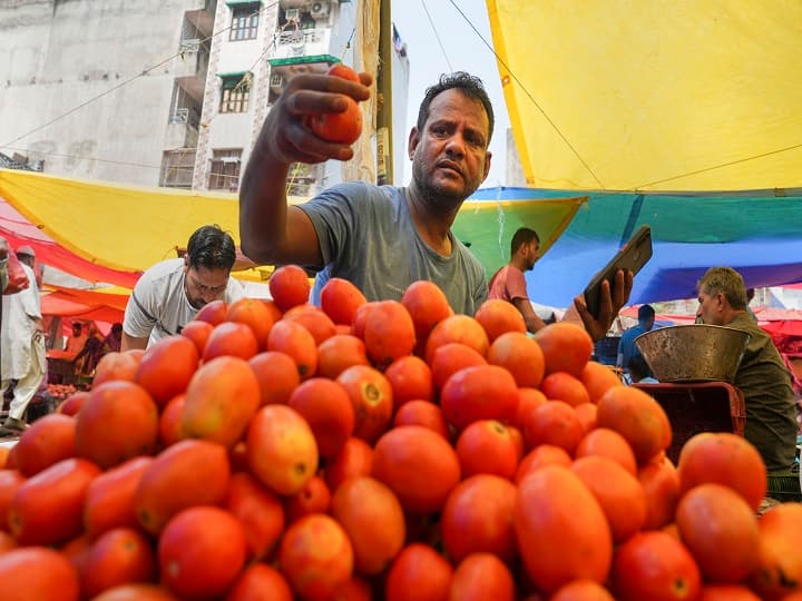Tomato Price Today in India Know 1 KG Tomato Cost in Your City Delhi Noida UP Mumbai Tomato Price Hike: टमाटर के बढ़ते दाम से सब परेशान, शतक लगाने के बाद इन शहरों में पहुंचा 100 रुपये के पार