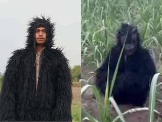 खेतों में 'भालू' बनकर घूम रहा है ये शख्स, वजह जानकर रह जाएंगे हैरान