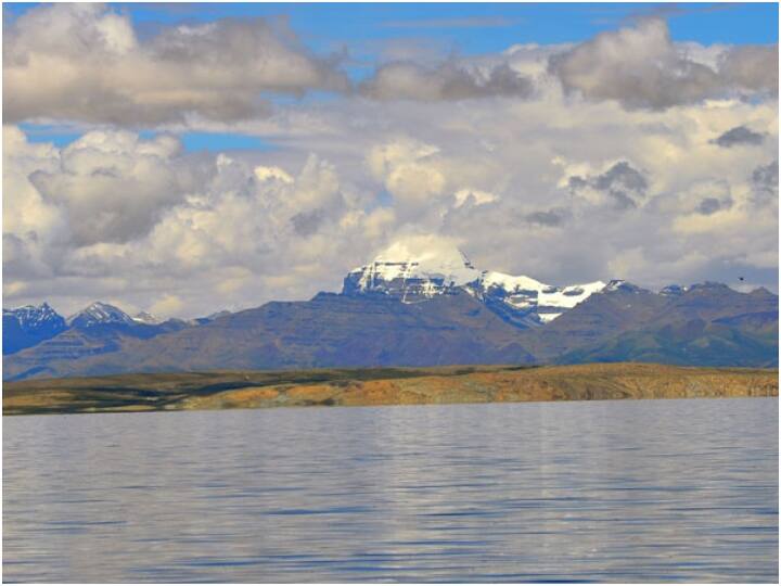 उस व्यक्ति का बॉडी मास इंडेक्स (बीएमआई) 25 या उससे कम होना चाहिए.
