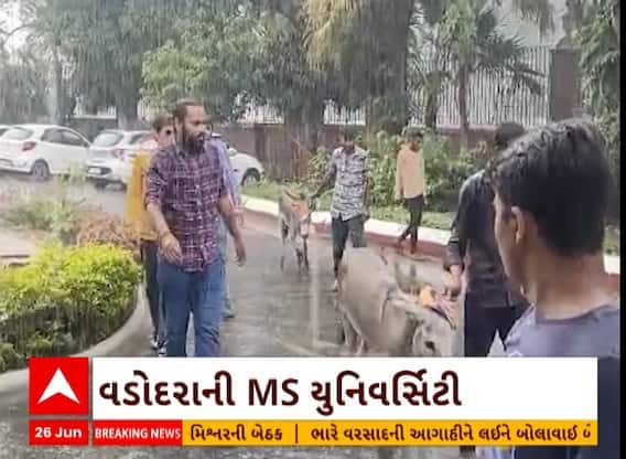 Vadodara| M.S.યુનિમાં ગધેડા પર VC અને ડીનનો ફોટો લગાવી કરાયો ભારે વિરોધ, જાણો શું છે આખો મામલો?