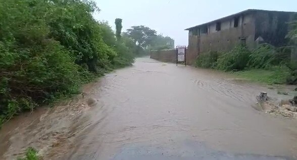 Bhavnagar Rain: ભાવનગરના  શિહોર તાલુકામાં ધોધમાર વરસાદ,  વરલ ગામની નદી બે કાંઠે