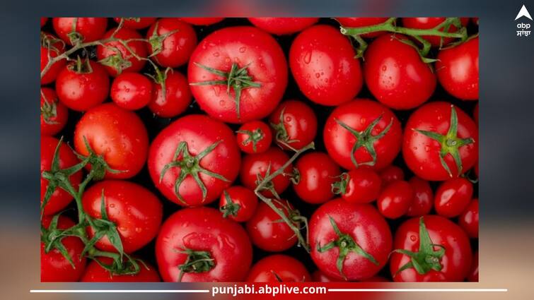 Tomato prices exceed ₹ 100, only Rs 10 per kg is available here Tomato prices: ਟਮਾਟਰ ਦੀਆਂ ਕੀਮਤਾਂ ਨੂੰ ਲੱਗੀ ਅੱਗ, ਕੀਮਤਾਂ ਹੋਈਆਂ 100 ਰੁਪਏ ਤੋਂ ਵੀ ਪਾਰ...ਪਰ ਇੱਥੇ ਮਿਲ ਰਿਹਾ ਹੈ ਸਿਰਫ 10 ਰੁਪਏ ਪ੍ਰਤੀ ਕਿਲੋ