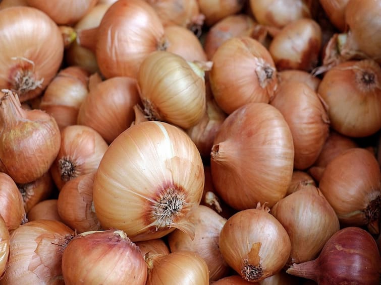 Onion Price Decrease Incessant Rain Wreaks Havoc as Onion Prices Crash at Navi Mumbai Onion Price Decrease: దారుణంగా పడిపోయిన ఉల్లి ధర, కిలో 3 రూపాయలే - టమాటా రేటుతో 40 కేజీలు కొనవచ్చు