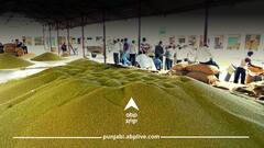 Punjab News: ਮੰਡੀਆ 'ਚ ਐਮਐਸਪੀ 'ਤੇ ਨਹੀਂ ਵਿਕ ਰਹੀ ਮੱਕੀ ਤੇ ਮੂੰਗੀ ਦੀ ਫਸਲ, ਸਰਕਾਰ ਨਾਲ ਮੀਟਿੰਗ ਮਗਰੋਂ ਕਿਸਾਨਾਂ ਦੀ ਚੇਤਾਵਨੀ