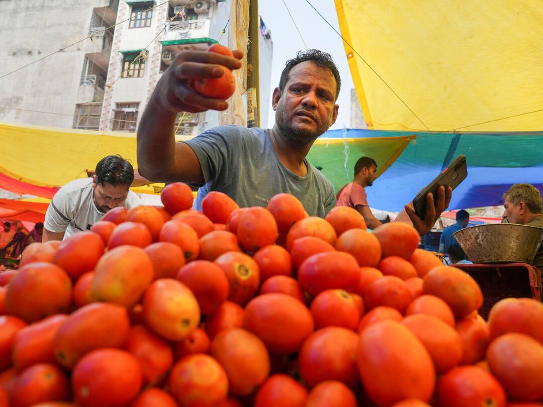 Monsoon In India Tamil Nadu To Sell Tomatoes At Rs 68 Per Kg Through Farm Fresh Outlets To Control Increasing Prices Tomatoes To Be Sold At Rs 68 Per Kg Through Farm Fresh Outlets In TN Amid Rising Prices