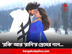 বরফে ঢাকা পাহাড়, শিফন শাড়িতে আলিয়া! 'তুম কেয়া মিলে' মনে করাবে যশ চোপড়ার ছবির প্রেমের গান