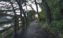 Mental Health: নিজের মনের দায়িত্ব নিজেরই, অন্য কেউ নয়, দুর্বল মুহূর্তে নিজেকে বোঝান নিজেই