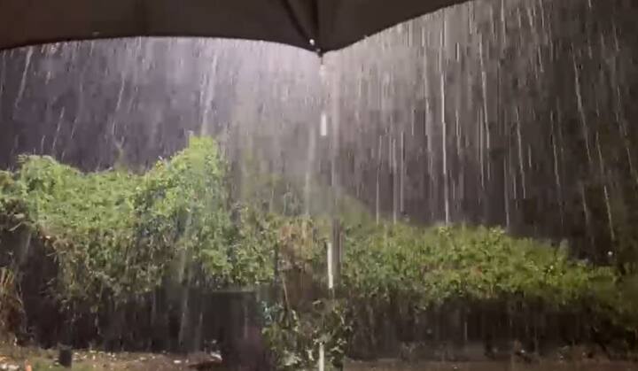 राज्यातील इतर भागातही चांगल्या पावसाची शक्यता हवामान विभागानं वर्तवली आहे.