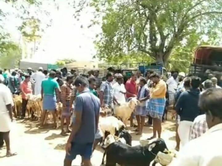 Karur Goats sold for 1.5 crores on the occasion of Bakrid festival TNN Bakrid: கரூரில் பக்ரீத் எதிரொலியால்  1.5 கோடி ரூபாய்க்கு ஆடுகள் விற்பனை