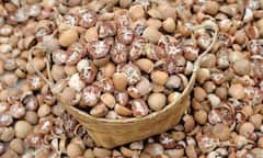 सडकी सुपारी आयात करण भोवलं, म्यानमारसह ईशान्य आशियातील सीमाशुल्क चुकवल्याप्रकरणी एकाला अटक