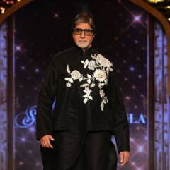 Bollywood Actors Who Are Vegetarian: बिग बी ते भूमी;  शाकाहारी आहेत 'हे' बॉलिवूड कलाकार