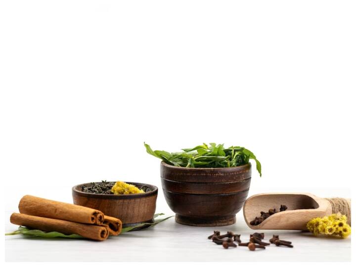 these herbs will help you in maintaining your health Herbs during Monsoon: मॉनसून में अगर लेना है बारिश का मजा तो इन चीजों से कर लें दोस्ती, बीमारी से रहेंगे कोसों दूर