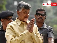 నియోజకవర్గ ఇంచార్జుల పనితీరుపై చంద్రబాబు సమీక్ష - వర్గాలున్న చోట్ల పార్టీ నేతలతో చర్చలు !