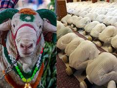 Bakra Eid 2023 : बकरी ईदनिमित्त मुस्लीम बांधव एकत्र येऊन सामूहिक नमाज पठण करुन ईद साजरी करतात...