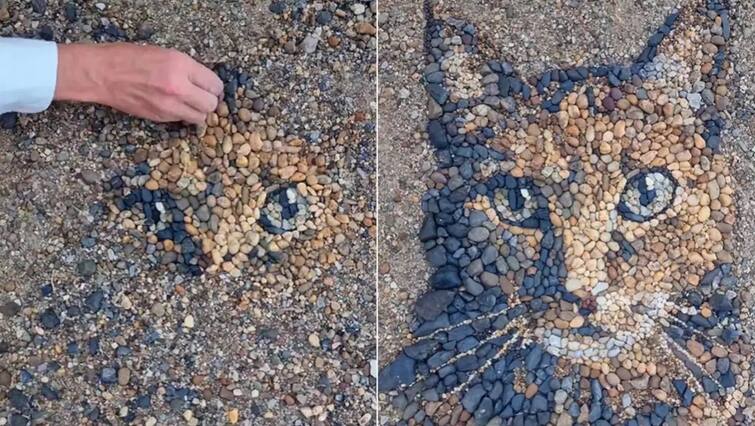 Viral Video: Never seen such amazing craftsmanship, stunning photo of a cat made of pebbles Viral Video: ક્યારેય નહી જોઈ હોય આવી અદભૂત કારીગરી, કાંકરાથી બનાવ્યો બિલાડીનો અદભૂત ફોટો