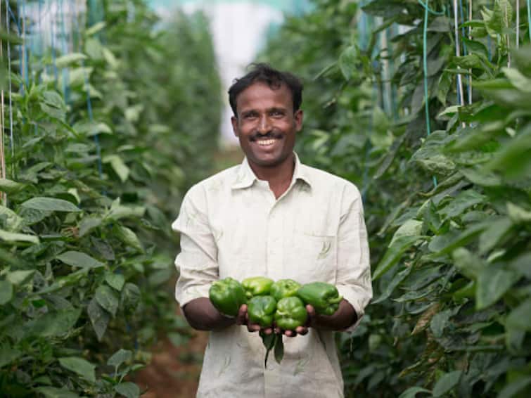 PM Pranam Yojana Launched What is PM Pranam Scheme Eligibility Benefits for Farmers What Is PM Pranam Yojana? Scheme To Restore, Nourish And Promote Sustainable Farming Through Alternative Fertiliser