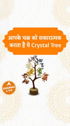 आपके चक्र को सकारात्मक करता है ये Crystal Tree Dharma Live
