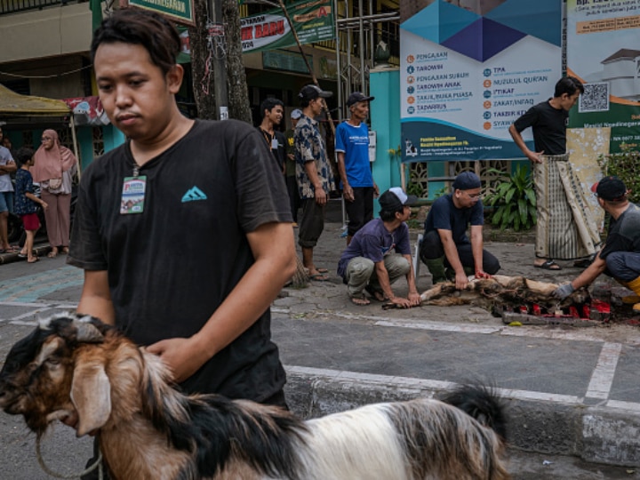 Indonesian Muslims take a goat for slaughter during celebrations for Eid al-Adha or the 'Festival of Sacrifice' in Yogyakarta.  Image Source: Getty Images