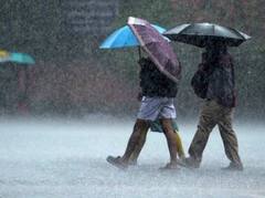 Rain : राज्यात पावसाची हजेरी, कोकणसह पश्चिम महाराष्ट्रात ऑरेंज अलर्ट