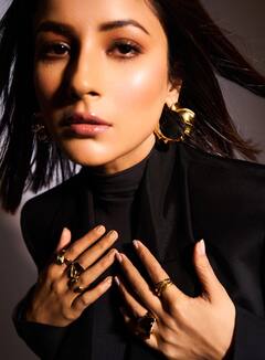 Shehnaaz Gill : बिग बाॅस 13 फेम शेहनाजच्या बोल्ड आणि ब्युटीफुल अदा ;फोटोवर खिळल्या चाहत्यांच्या नजरा