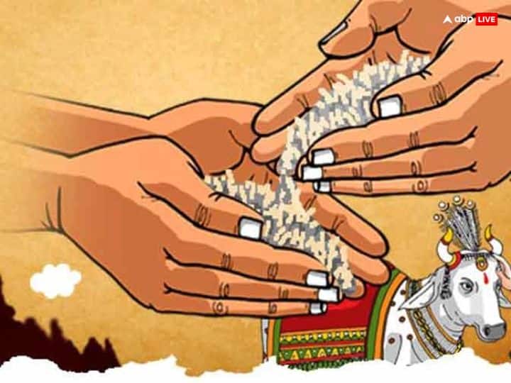 चातुर्मास में अन्न, दीपदान, वस्त्र, छाया दान और श्रमदान करना चाहिए. ये पांच तरह के दान व्यक्ति को सुख, सौभाग्य प्रदान करते हैं. चातुर्मास में ब्रजधाम की यात्रा करना बहुत शुभ माना जाता है क्योंकि चातुर्मास में सभी तीर्थ ब्रजधाम आते हैं.