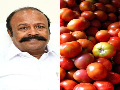 Action to purchase tomatoes from other states  Minister Periya Karuppan வெளி மாநிலங்களில் இருந்து தக்காளி கொள்முதல் செய்ய நடவடிக்கை - அமைச்சர் பெரிய கருப்பன்