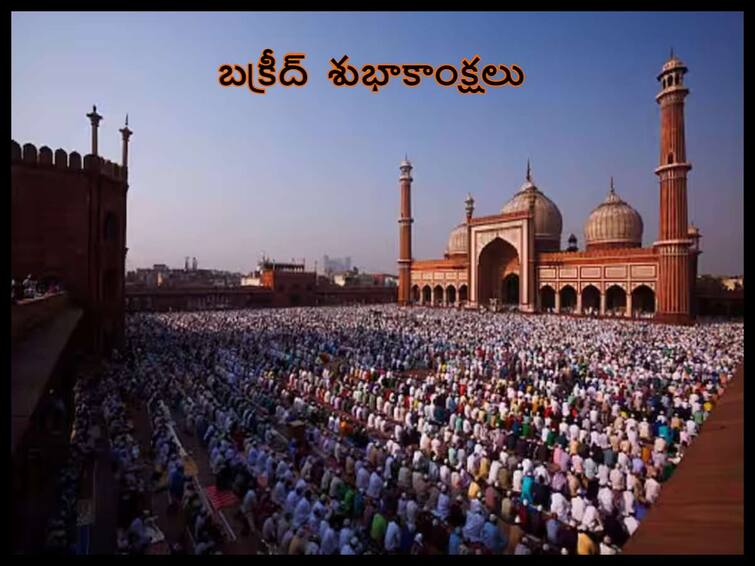 Happy Eid-ul-Adha 2023 : bakrid 2023 wishes messages quotes to your loved ones, know in telugu Happy Eid-ul-Adha Wishes In Telugu 2023 :  బక్రీద్ సందర్భంగా ఈ కోట్స్ తో శుభాకాంక్షలు తెలియజేయండి!