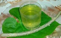 Malaria and Dengue Treatment: ચોમાસામાં કરો આ 6 ઘરગથ્થુ ઉપચાર, નહીં થાઓ તમે બીમાર