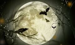 NASA Lunar Mining: অক্সিজেন থেকে জ্বালানি, বিরল সম্পদে ঠাসা চন্দ্রপৃষ্ঠ, খননকার্য চালাবে NASA