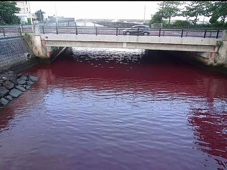 Japan's Okinawa Port Turns Blood Red After Food Colour Dye Leaks From Beer Factory Japan's Okinawa Port Turns Blood Red. Here's Why