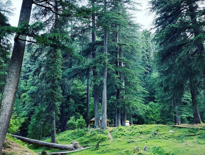 आप शेयरिंग ऑटो या लोकल टैक्सी से डलहौजी की बेहतरीन जगह घूम सकते हैं. मॉल रोड से खजियार, कालाटॉप, चमेरा लेक रॉक गार्डन जैसी खूबसूरत जगह जाते हैं जो आपका खर्चा सिर्फ 1000 से 1500 बीच होगा.