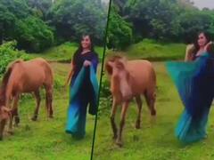 Viral Video: ਸਾੜੀ ਪਾ ਕੇ ਘੋੜੇ ਦੇ ਅੱਗੇ ਨੱਚਣ ਲੱਗੀ ਕੁੜੀ, ਜਵਾਬ ਵਿੱਚ ਘੋੜੇ ਨੇ ਮਾਰੀ ਲੱਤ, ਦੇਖੋ ਵੀਡੀਓ